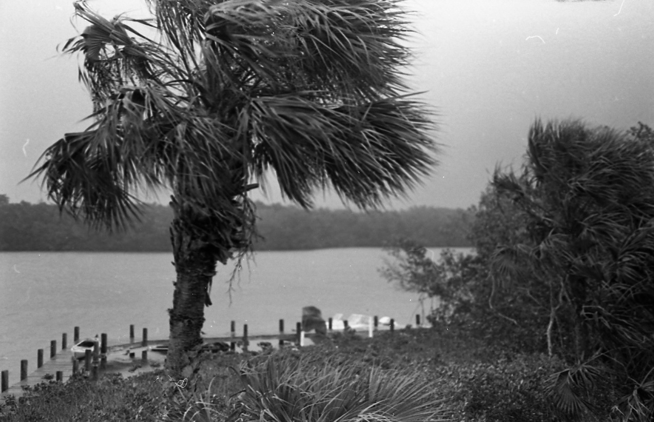 <em>No it's not a  hurricane, it's just windy.</em>